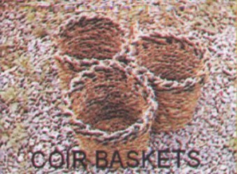 Coir Baskets