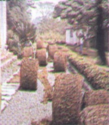 Landscape & Erosion Control Mats